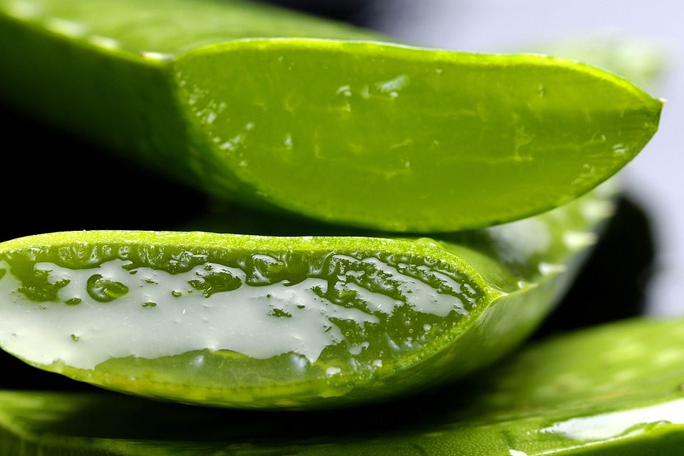 aloe vera gelei. puur gebruikt voor Ecolife Aloë vera huidgel.