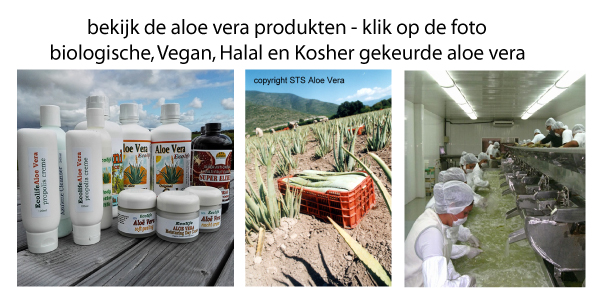 Ecolife Aloe vera Huid Gel Drank Juice